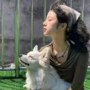 谁不爱张鱼小丸子