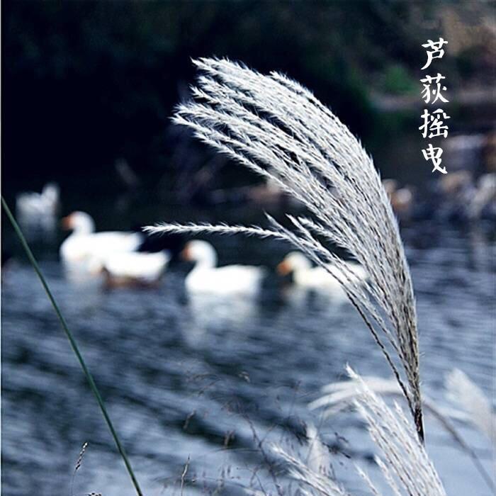 纺懿