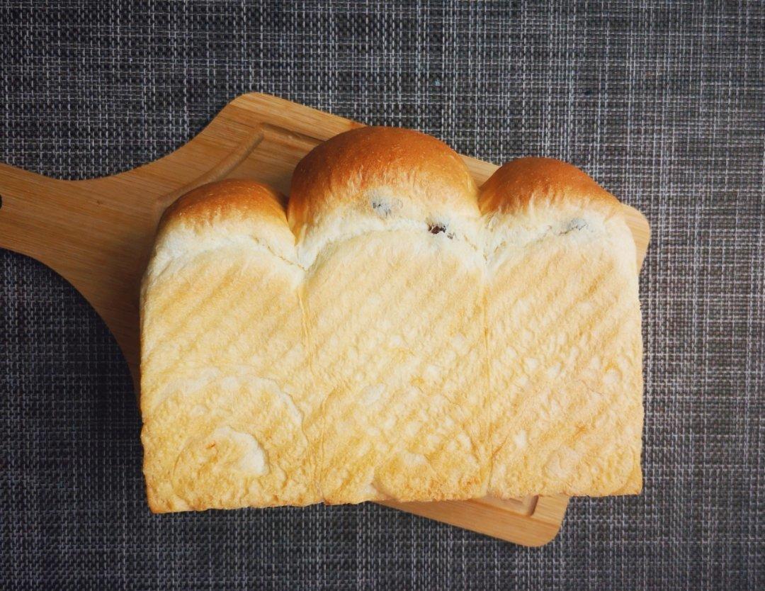 Toast notebook我的吐司小本本