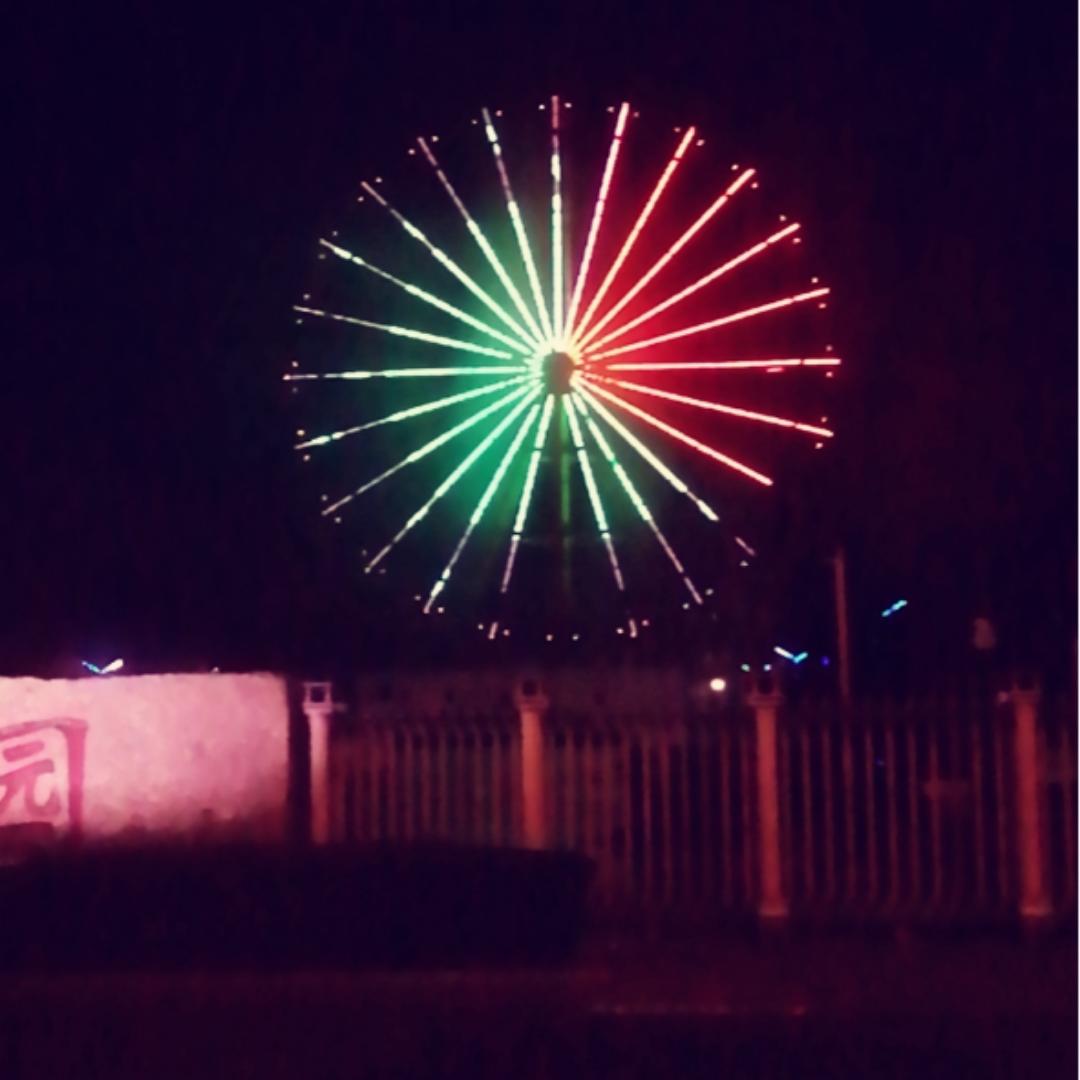 简简单单的日子