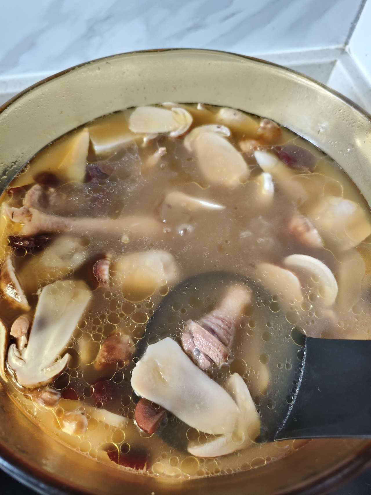 野生松茸炖鸡汤