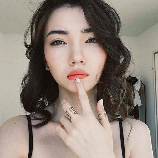 一枝桃花压海棠