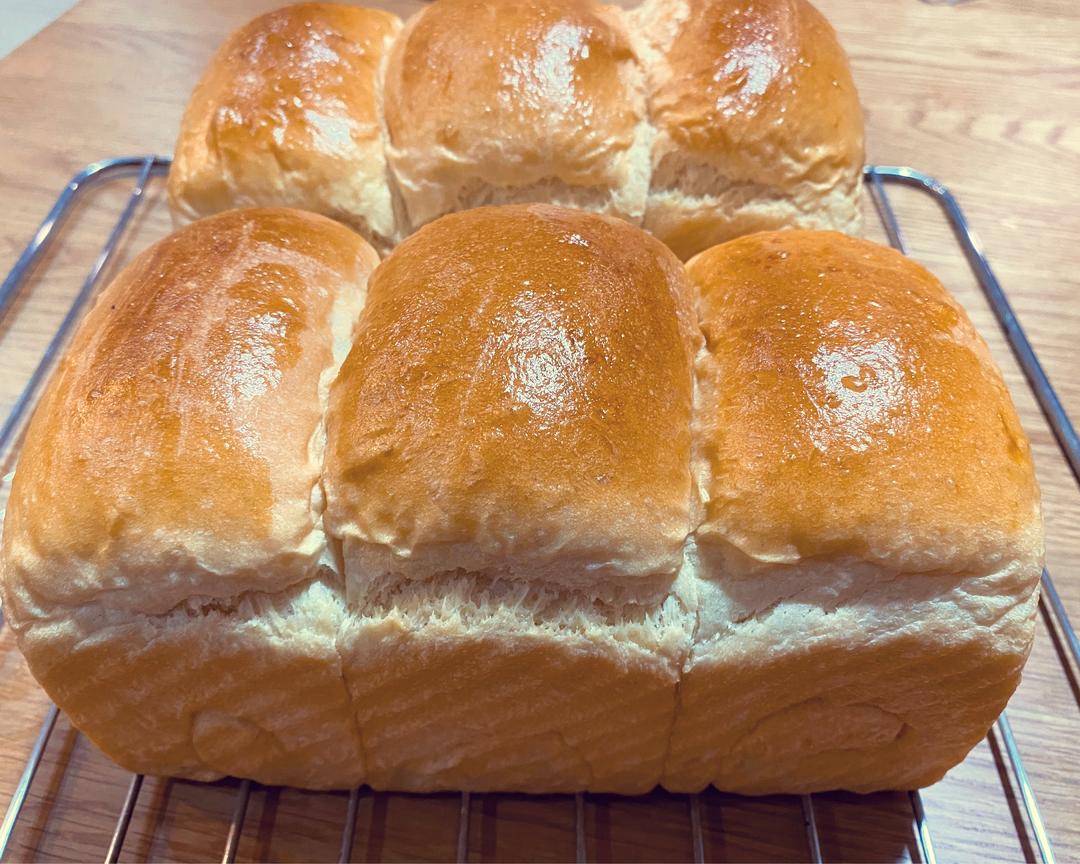 经典白吐司 蓝带方子 （超级易操作 零失误）