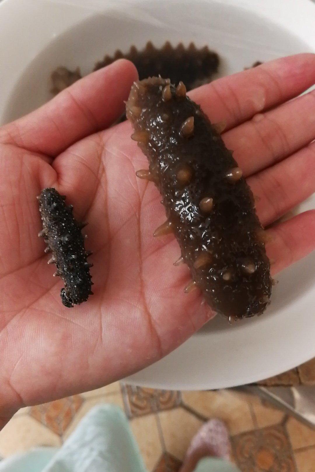 海参泡发攻略