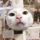 眼袋_uy06