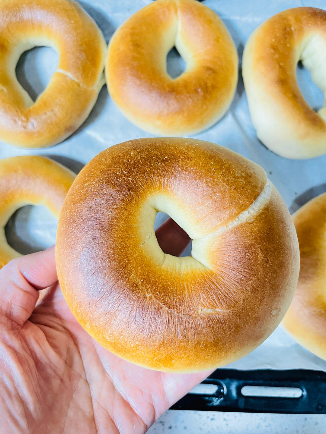 贝果新手看过来——超详细基础贝果每步注意事项