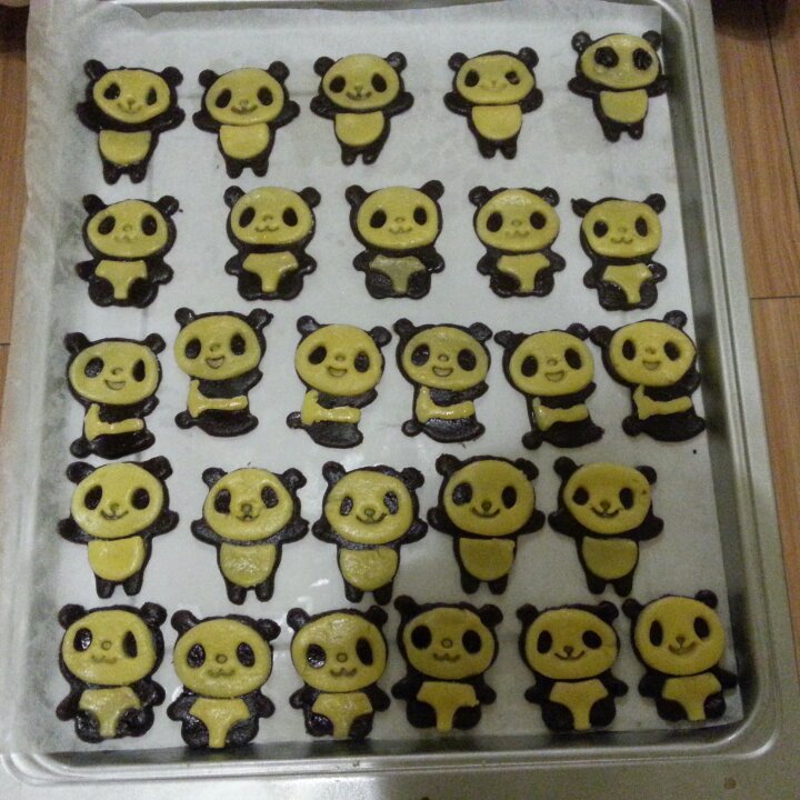 小熊猫饼干 萌呆了~。~  #皮黑森林#
