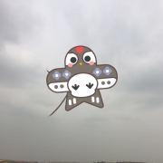Ren某任