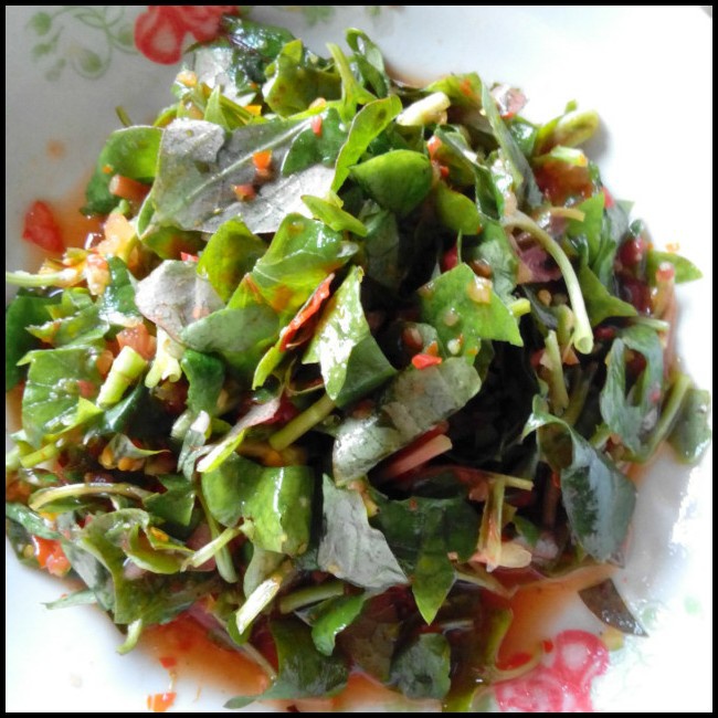 凉拌鱼腥草