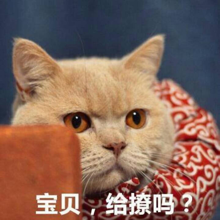 小馄饨加辣油不要香菜