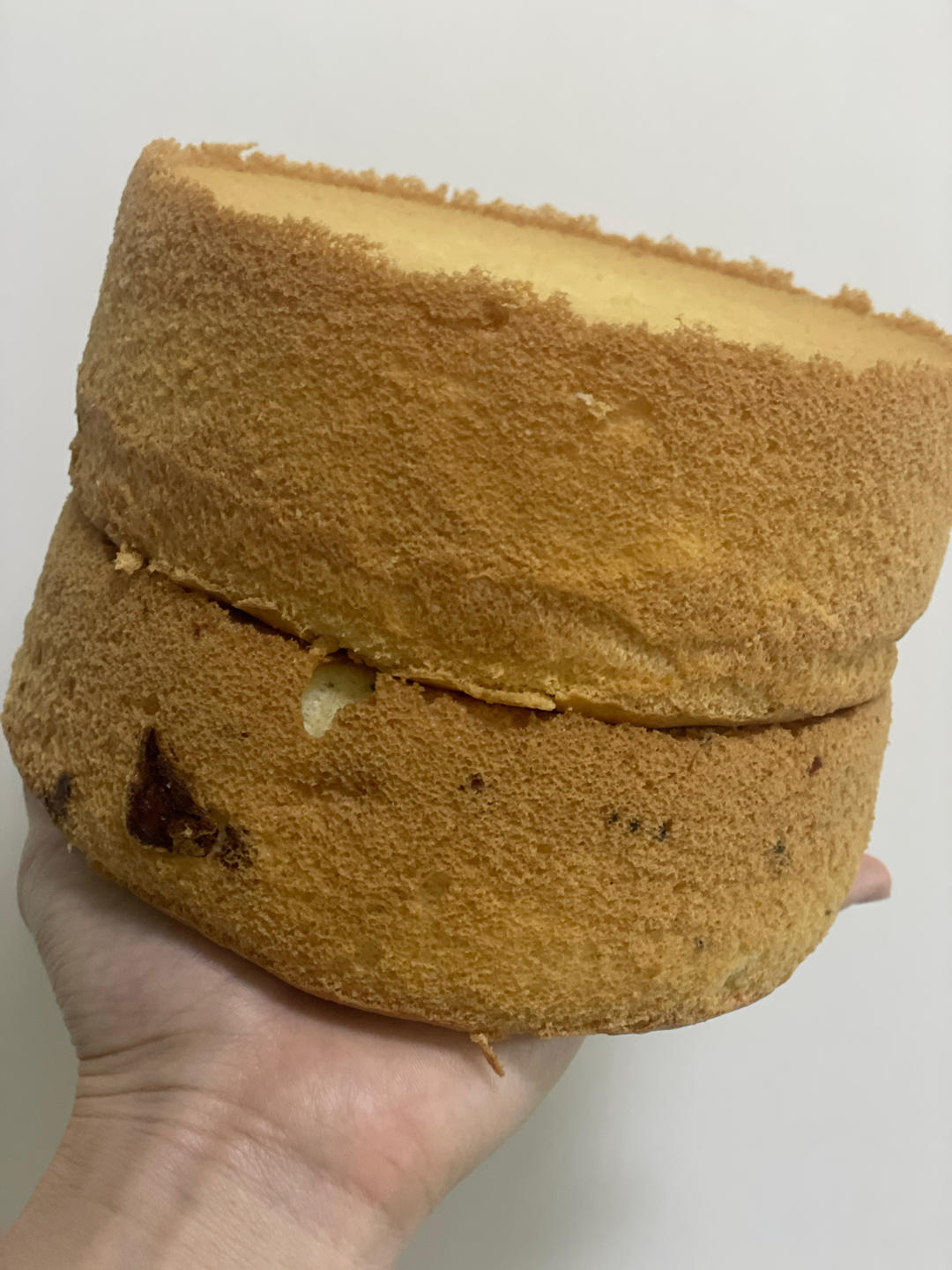 香葱肉松爆浆芝士戚风蛋糕