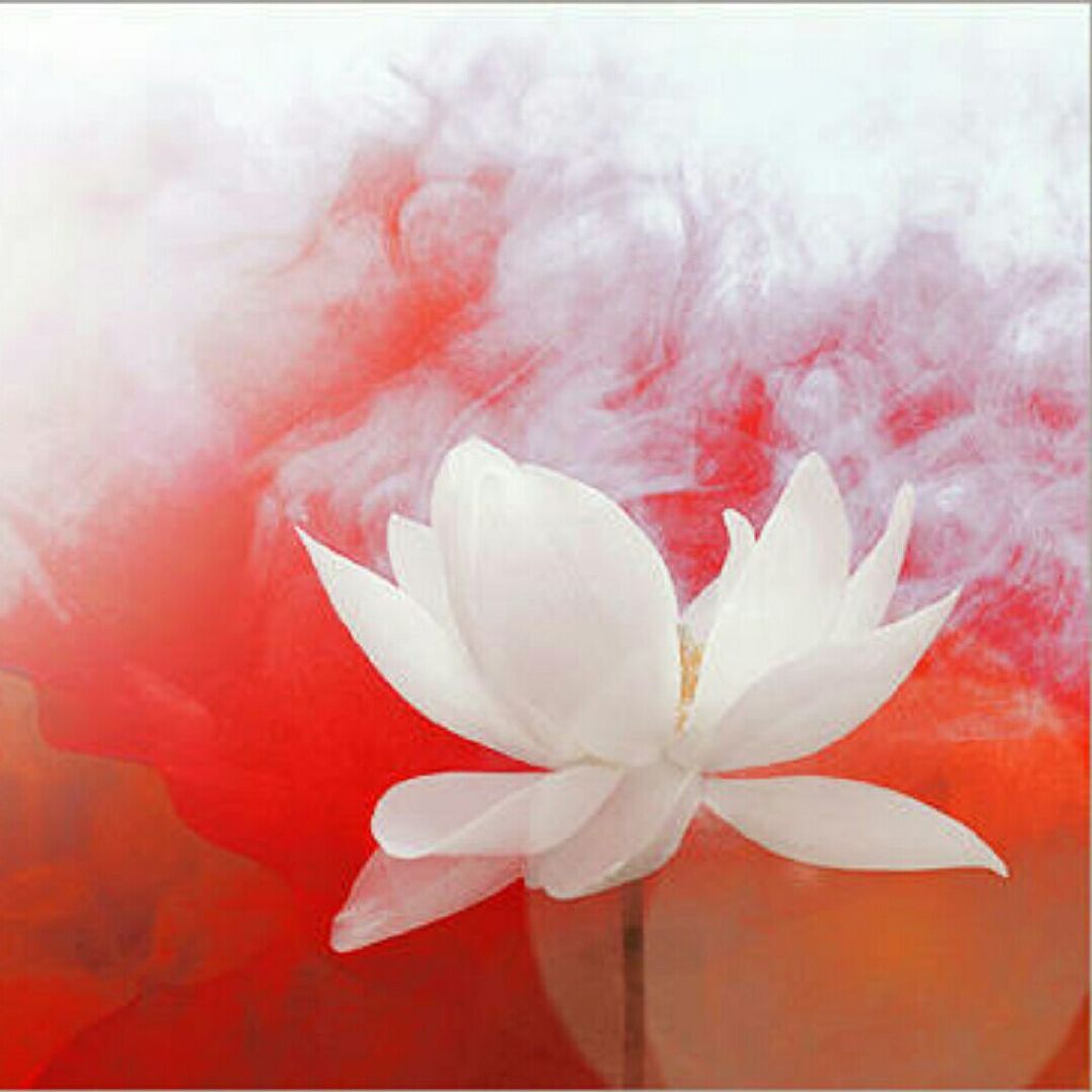 不知李白是何人