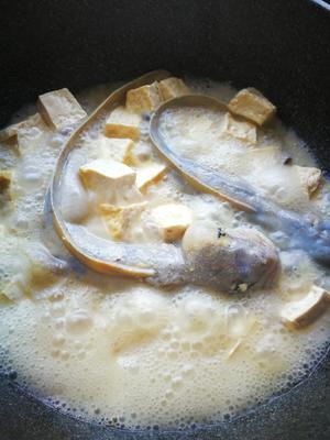 海鲶鱼炖豆腐的做法 步骤8