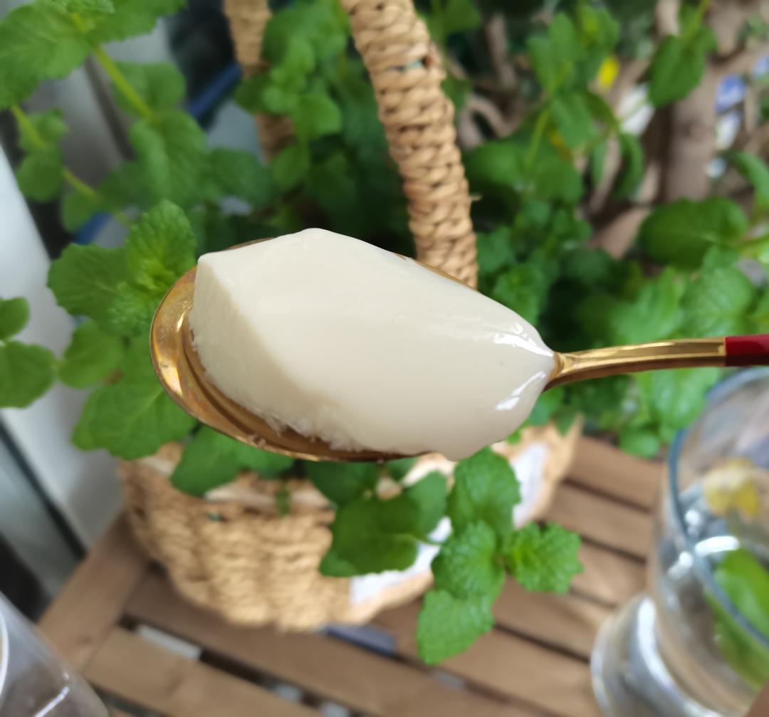 醇香丝滑的【豆腐脑】，随便加点白糖好吃极了