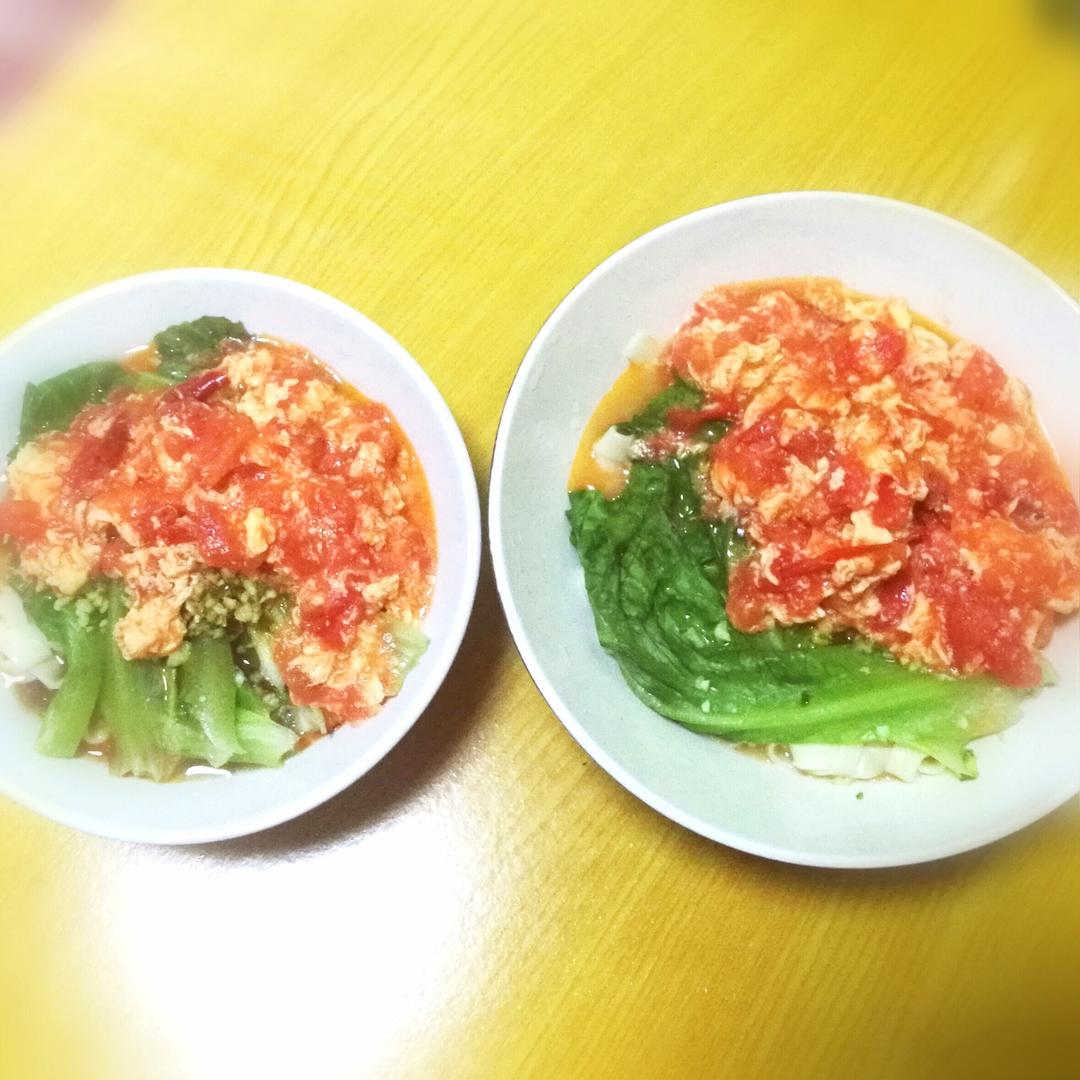 超级入味好吃的番茄鸡蛋面