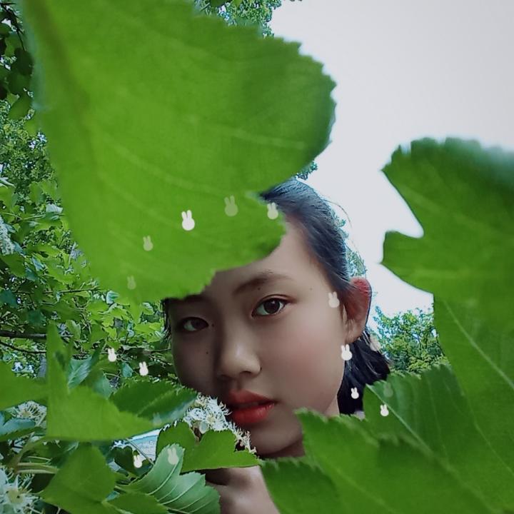 甜到腻的雪糕