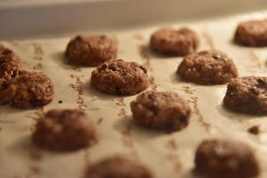 巧克力椰蓉饼干 - 北鼎烤箱食谱的做法 步骤11