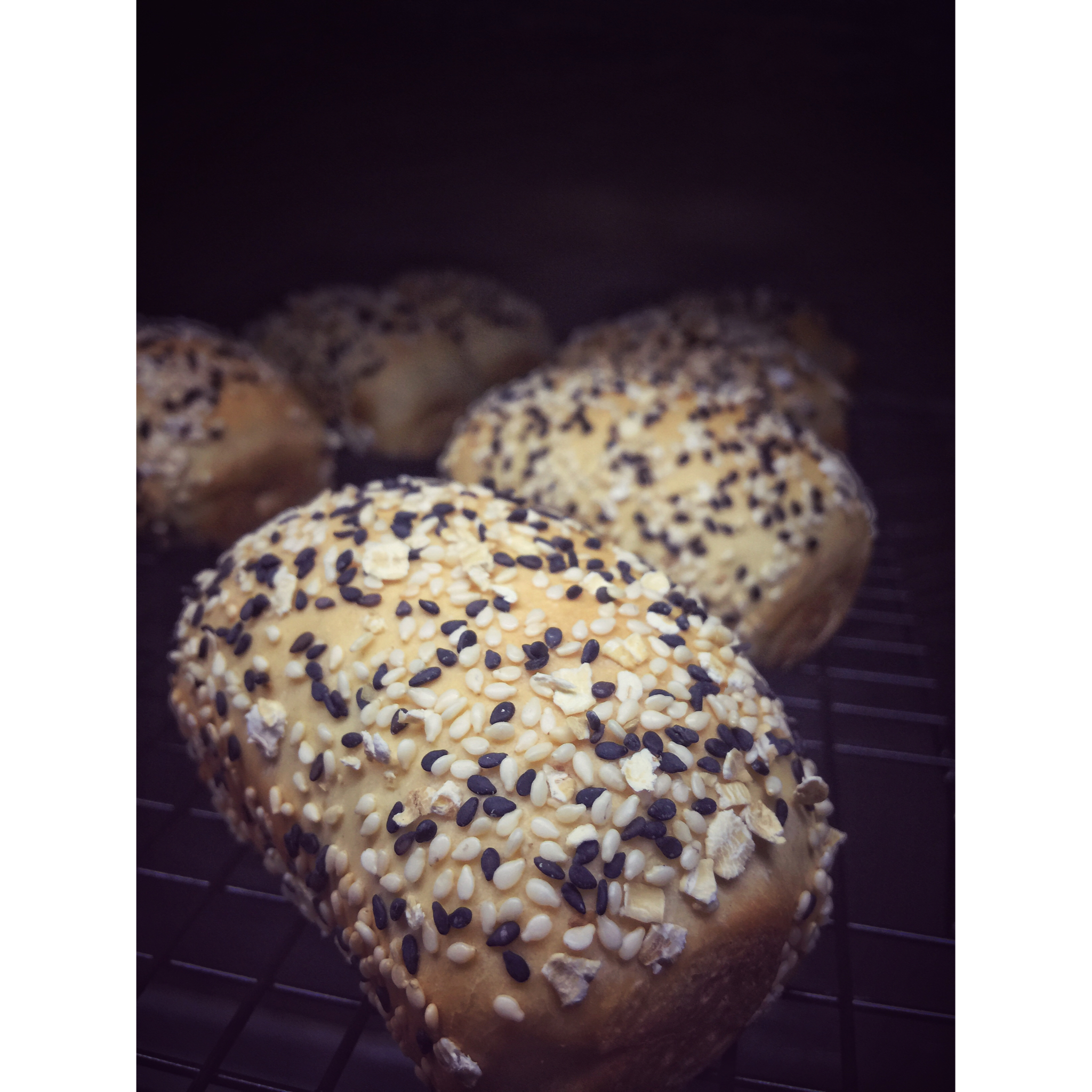 汉堡--全麦营养潜艇堡