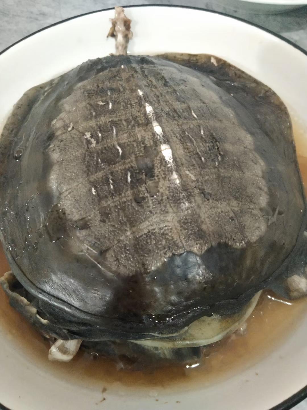 清蒸甲鱼