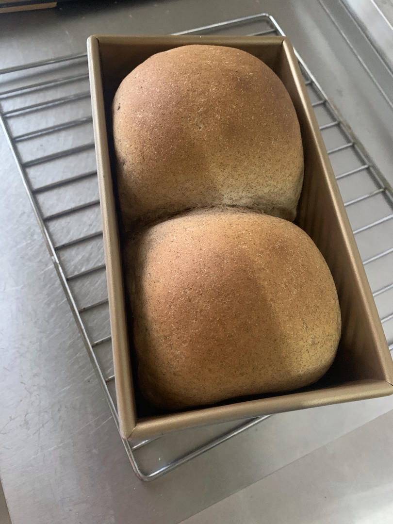 低卡全麦吐司（最棒的方子没有之一）