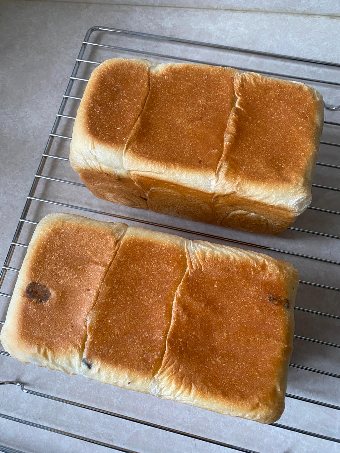 我的🍞日志
