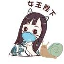 提拉米苏小晴子