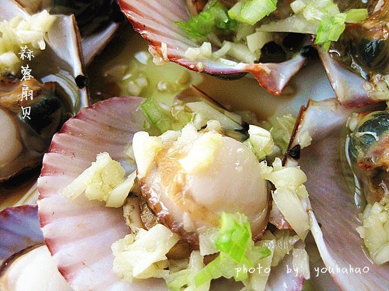 蒜蓉扇贝的做法