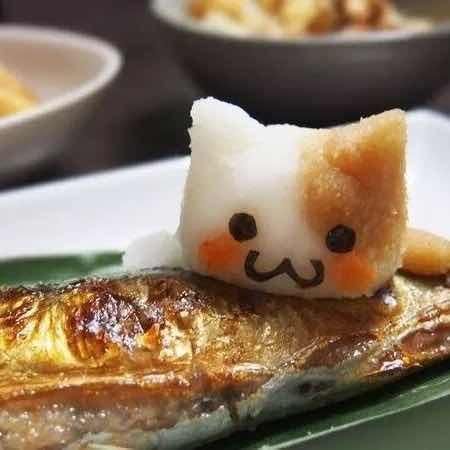 浅蓝色鱼儿爱生活