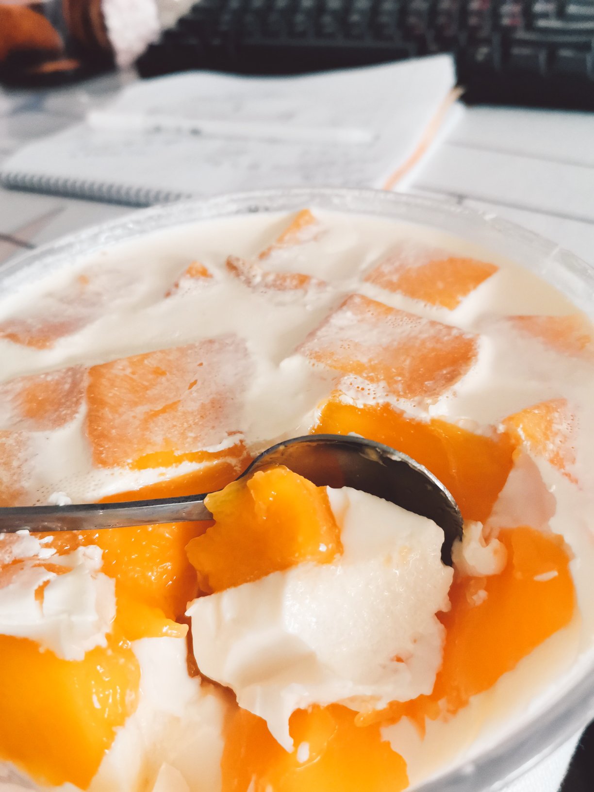 甜而不腻的💯酸奶芒果布丁果冻