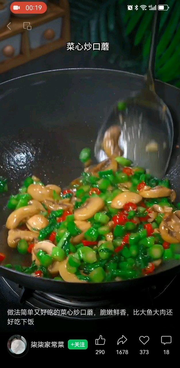 口蘑   青菜   红辣椒