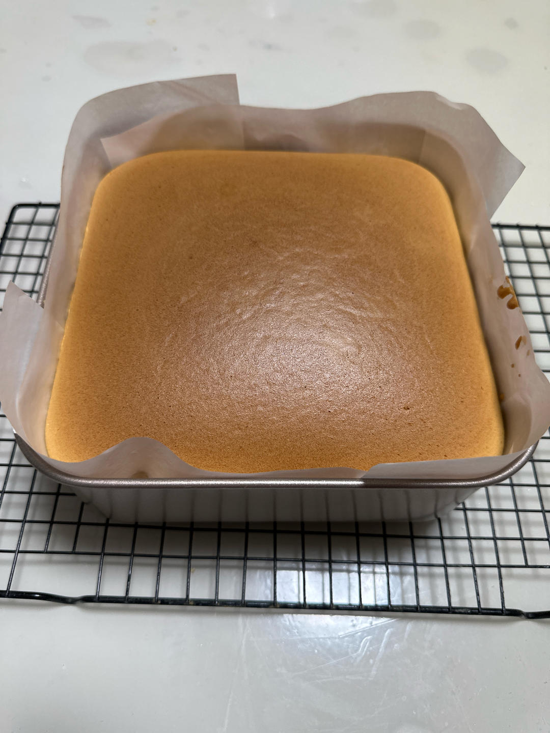 《Tinrry+》古早蛋糕 （10英寸配方）