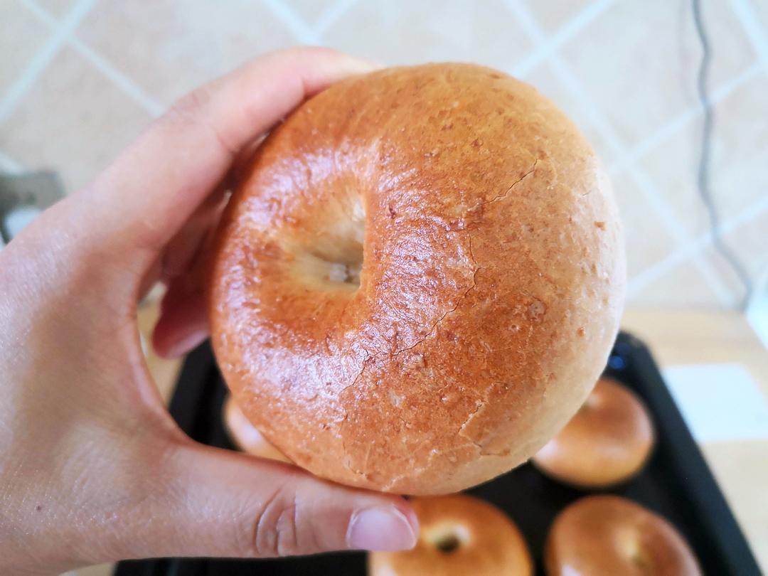 全麦贝果🥯