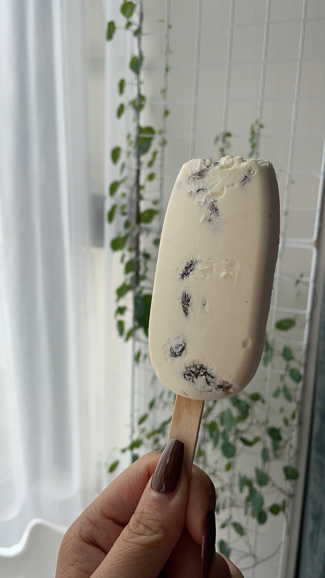 酸奶冰激凌（只需三步骤哦）