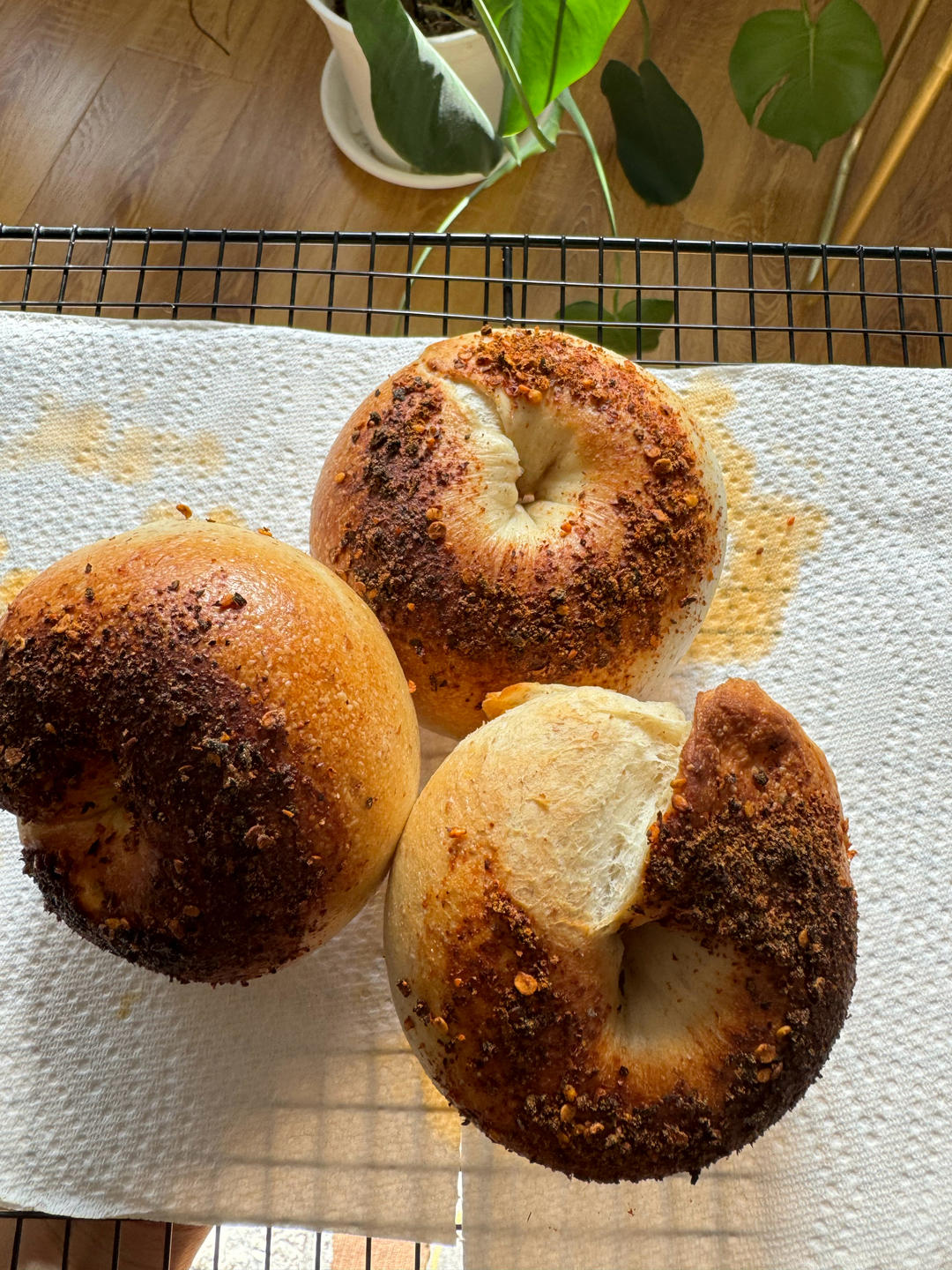 汤种香肠辣贝果，免揉冷藏隔夜发酵