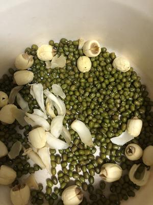 绿豆百合莲子浆的做法 步骤1