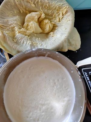 黄豆做豆浆、豆花、豆腐和豆渣馒头的做法 步骤1