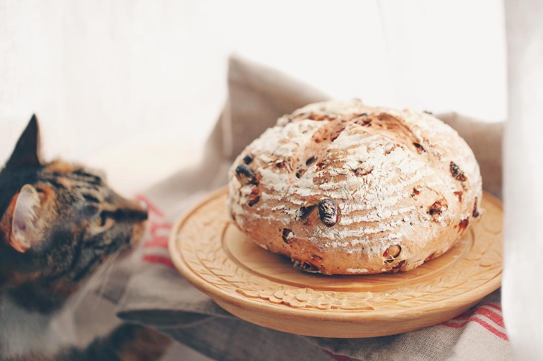 乡村面包（冷藏发酵）