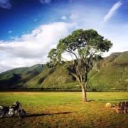 恋爱的犀牛明明