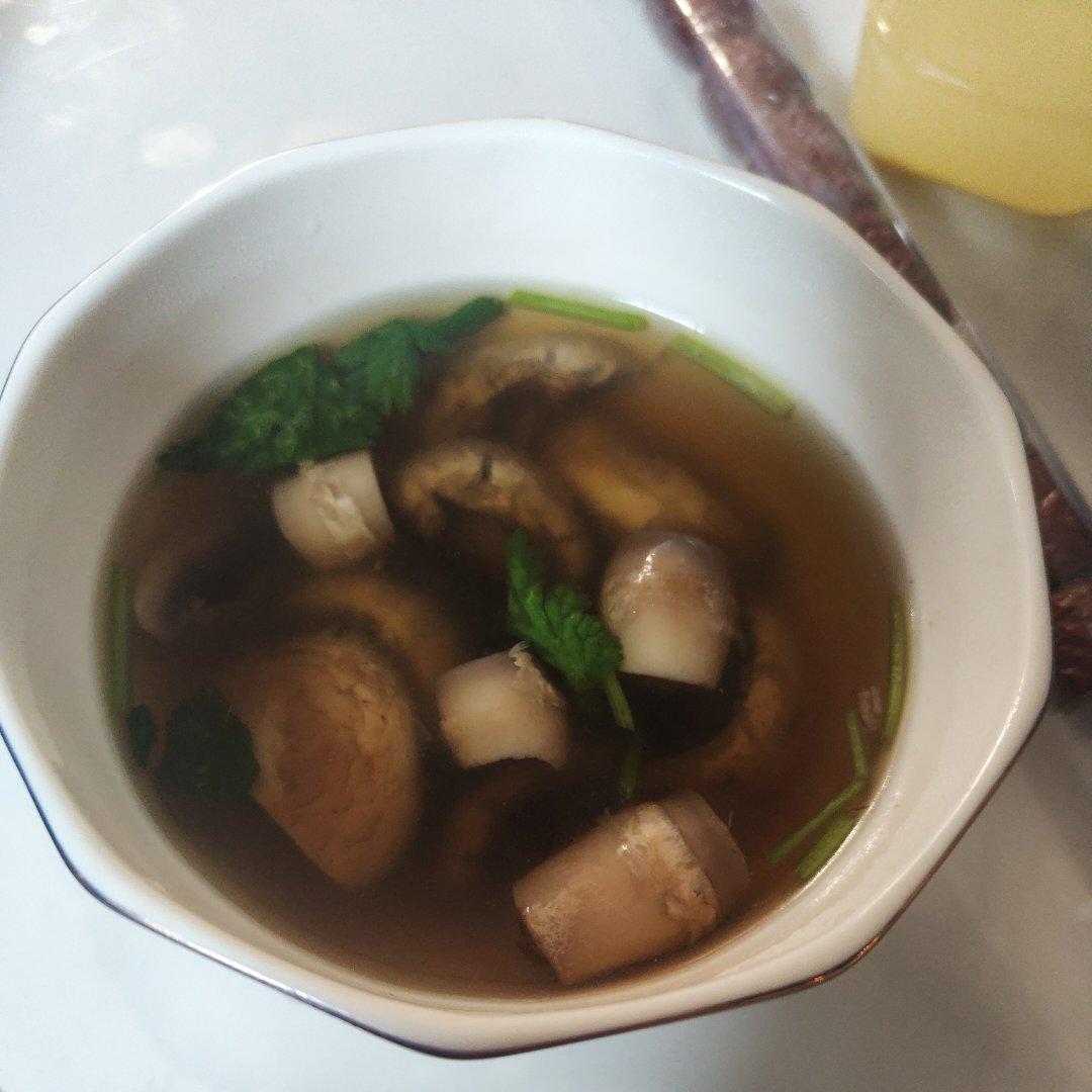 明明是素汤 却鲜得像鸡汤一样的「口蘑汤」