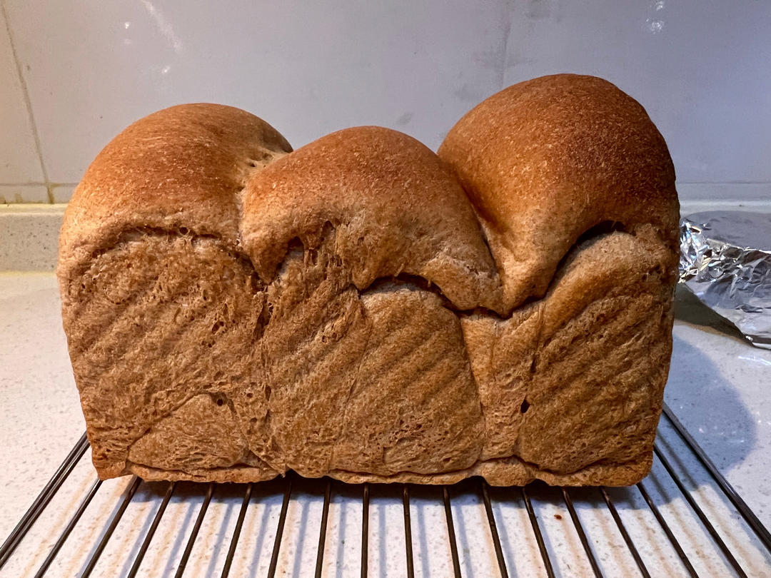 100%全麦酸奶吐司 纯全麦 波兰种