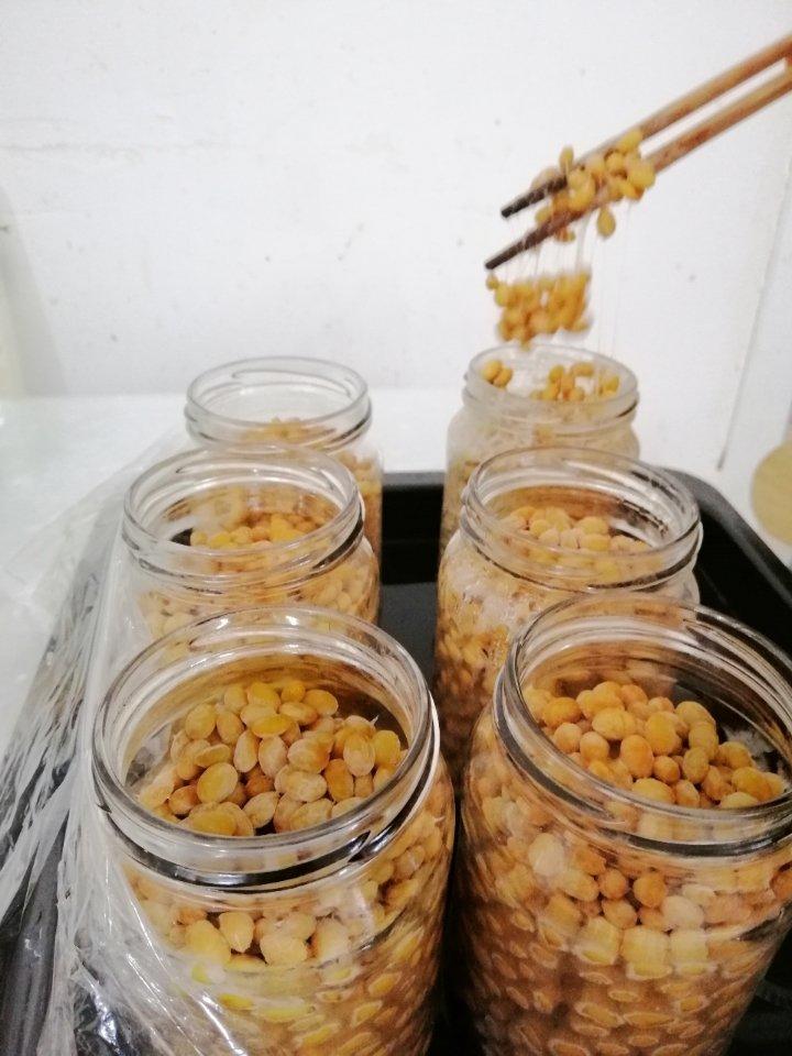 自制纳豆（酸奶机，面包机，烤箱版）