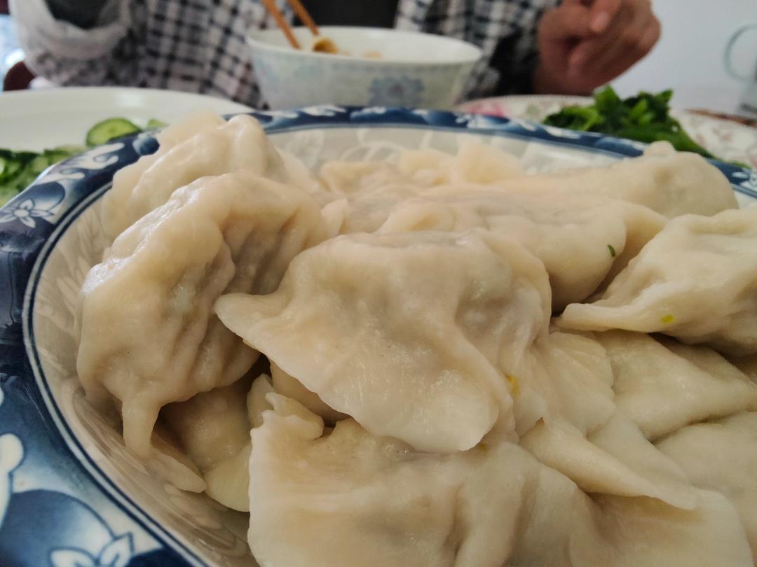 内蒙人民最爱的黄萝卜羊肉馅饺子