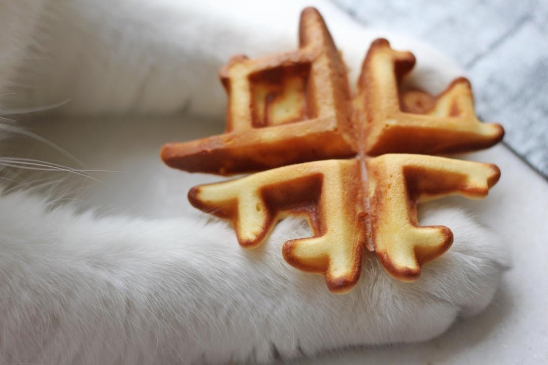 经典格子华夫饼 Belgian Waffle