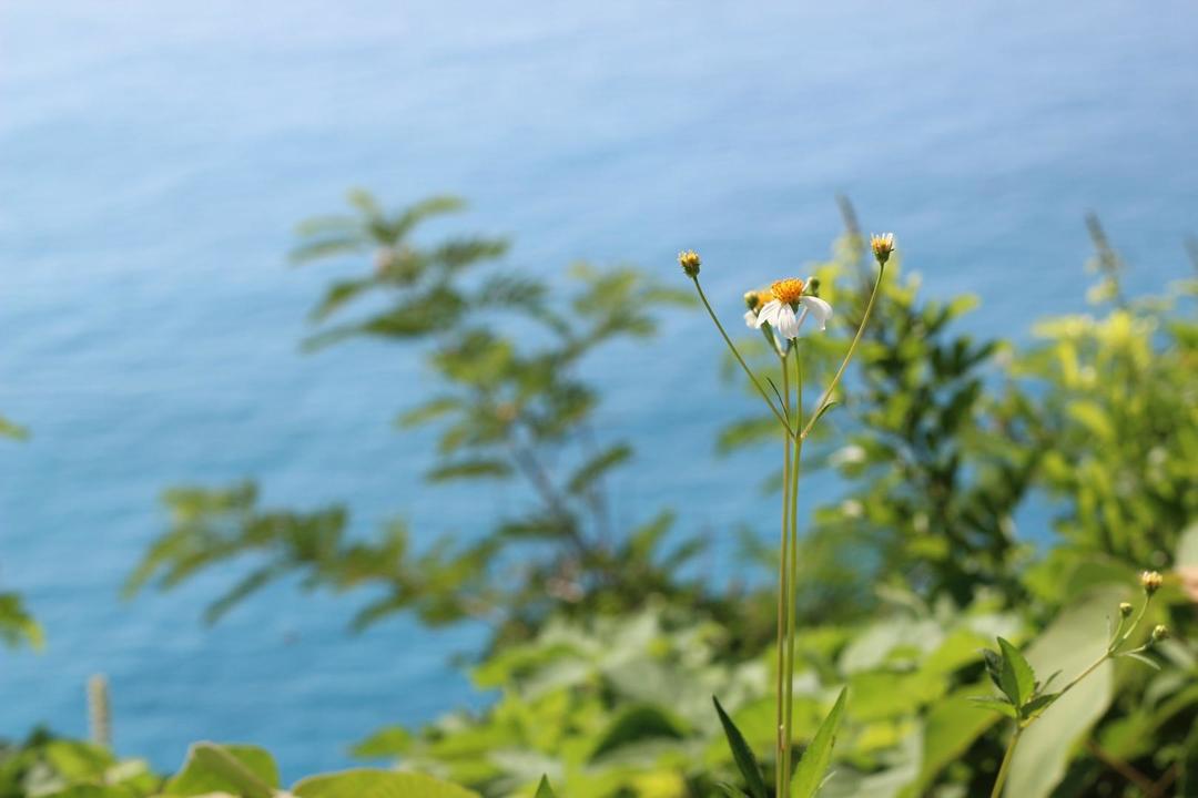 关于旅行的一切的做法