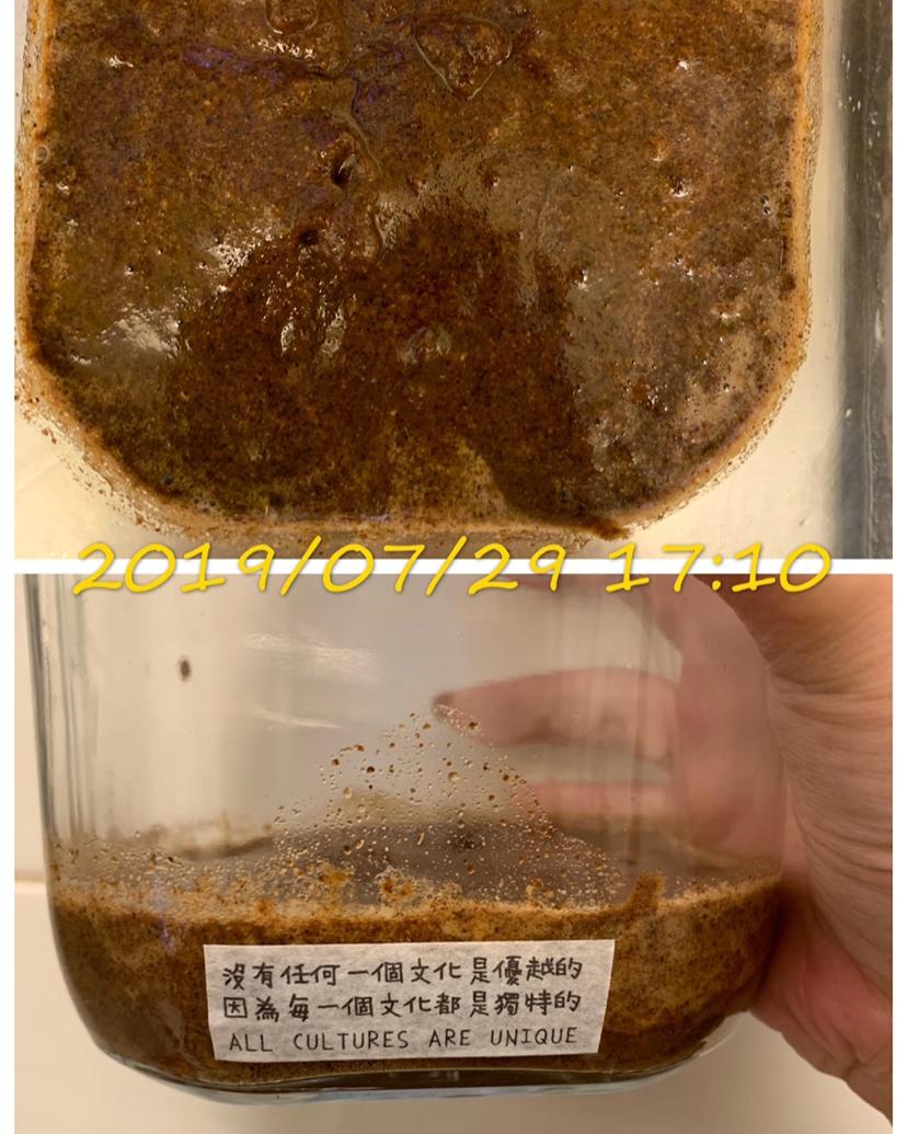 天然酵种养成记