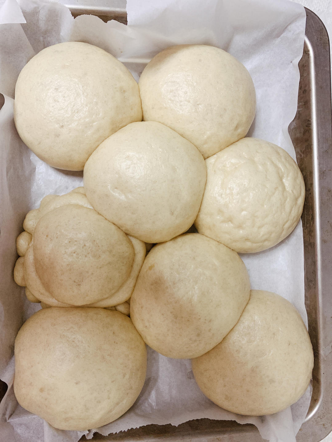 【小高姐】北方大馒头 小麦醇香 只用三种原料