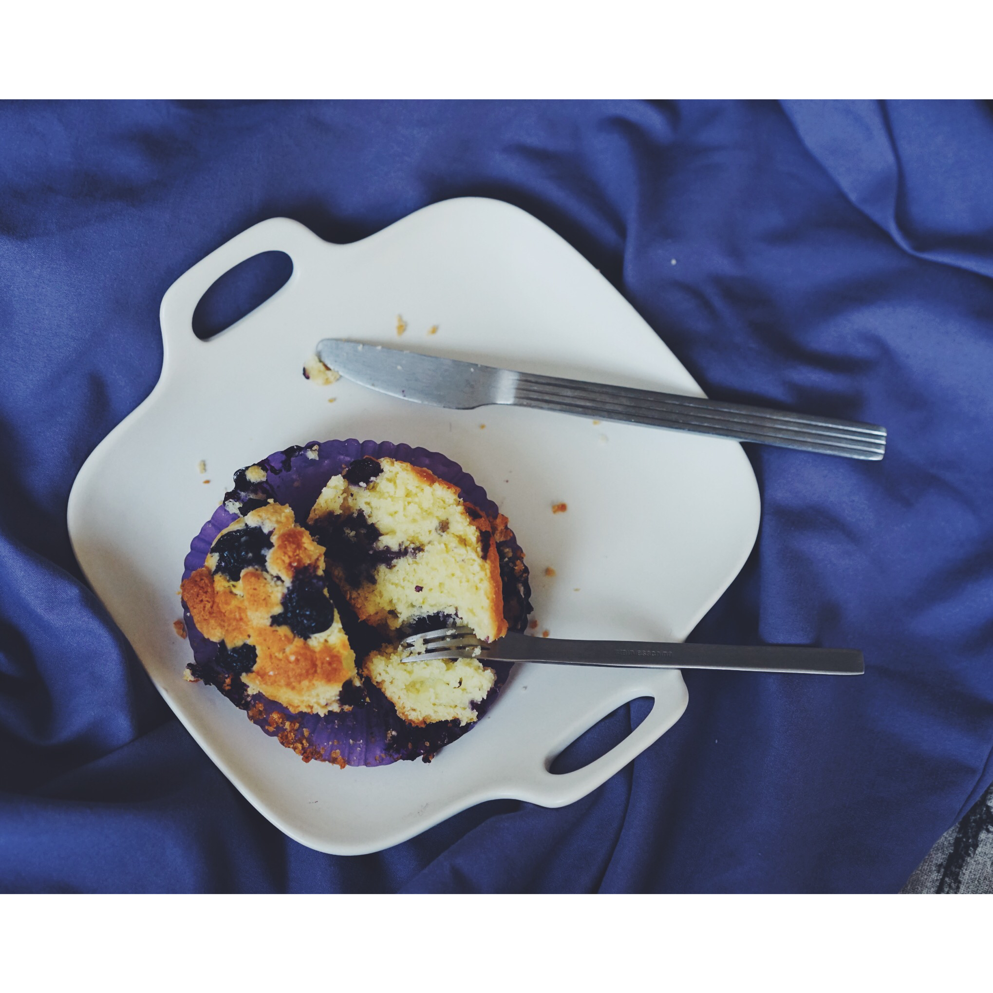 PH大师的金宝顶蓝莓马芬