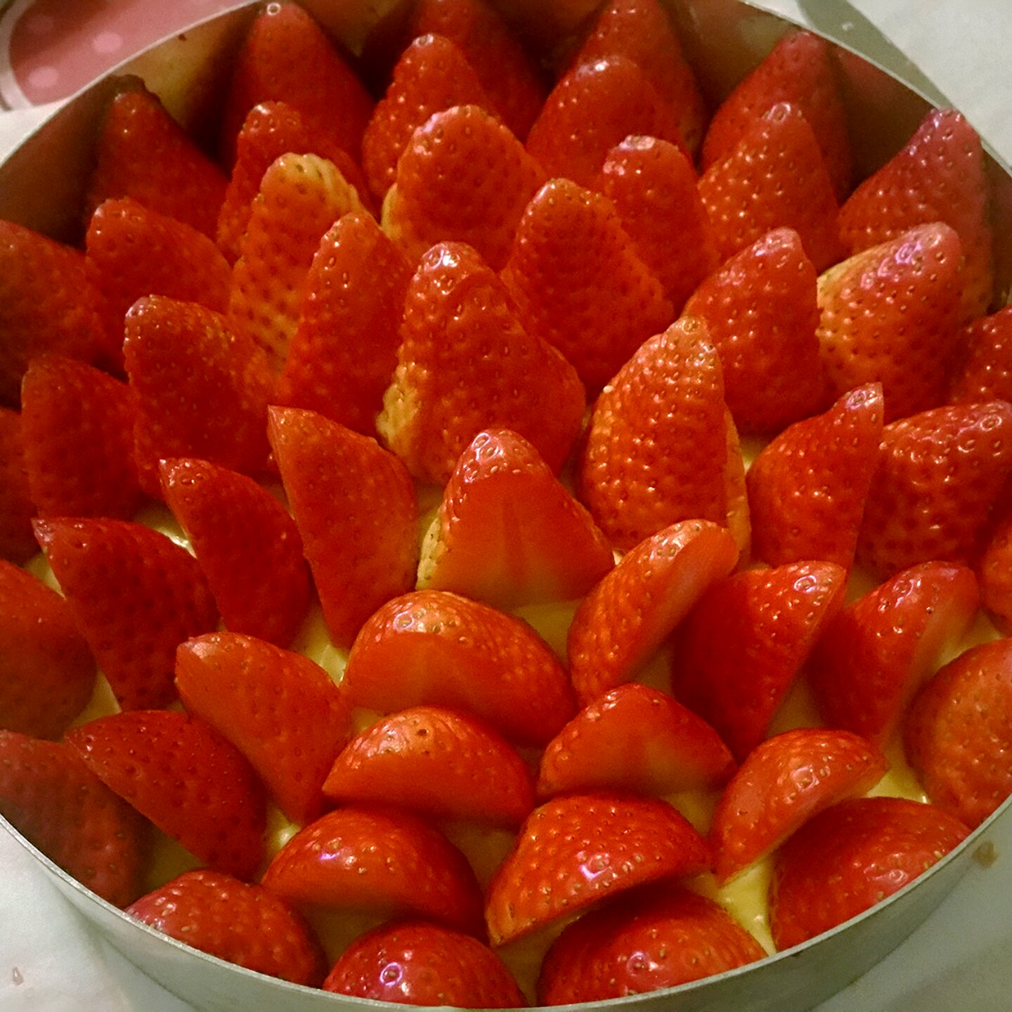 Fraisier 法式草莓蛋糕