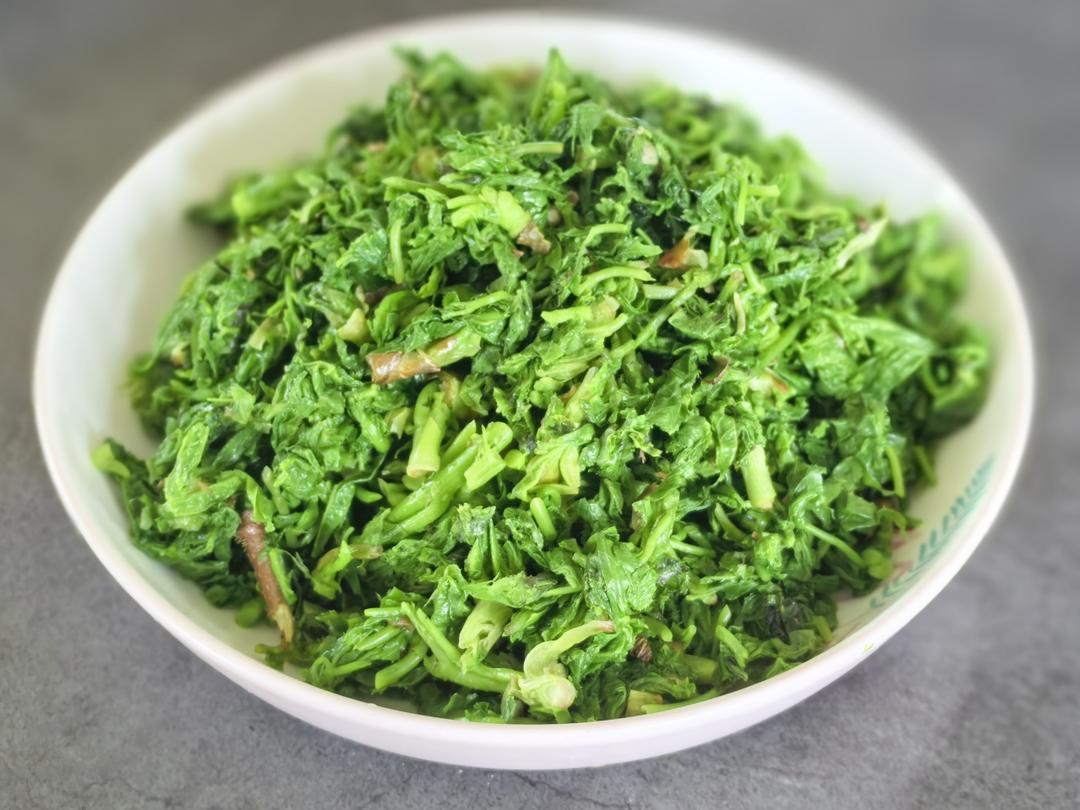 刺五加馅饺子(附刺五加的N种吃法)