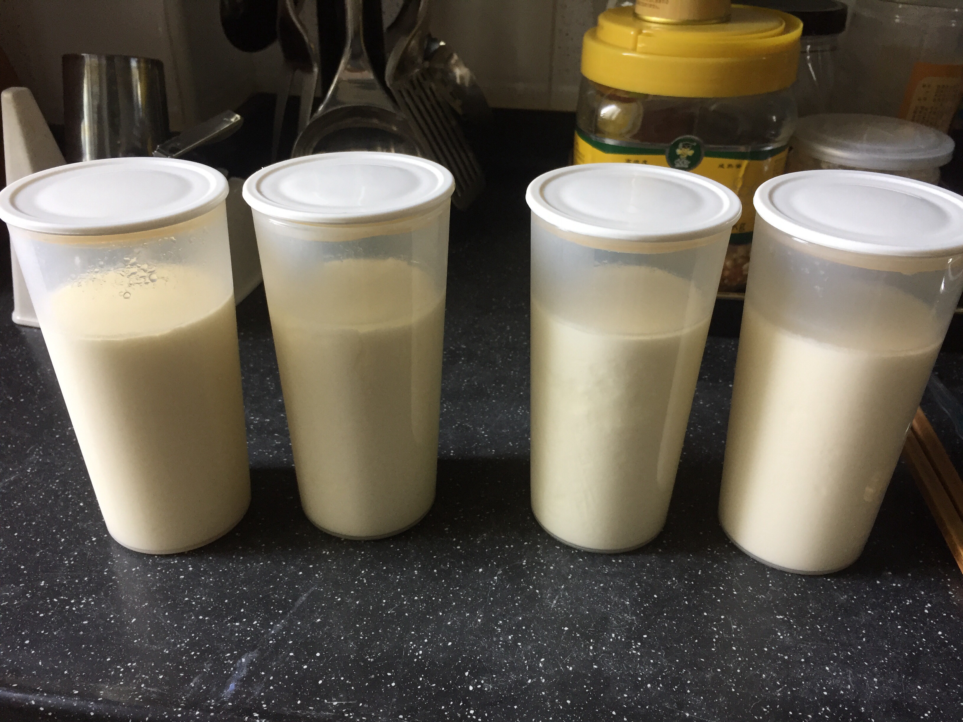 奶粉、酸奶酵母粉制酸奶-酸奶机